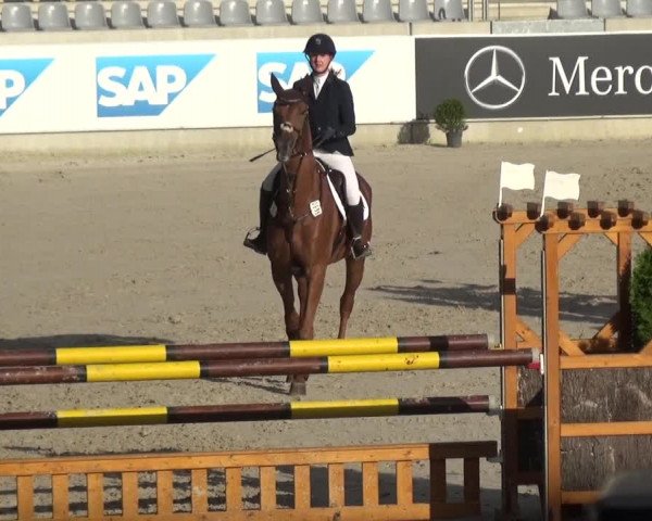 Reitturnier Aachen 2020