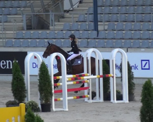 Reitturnier Aachen 2020