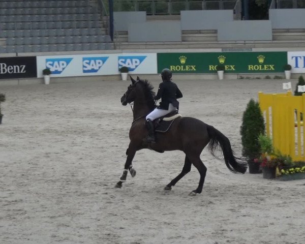 Reitturnier Aachen 2020