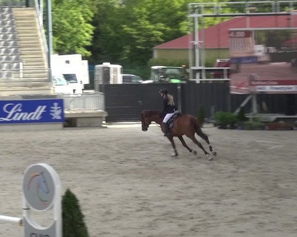 Reitturnier Aachen 2020