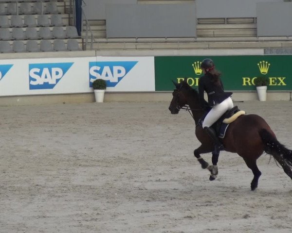 Reitturnier Aachen 2020