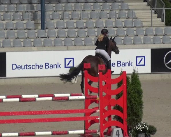 Reitturnier Aachen 2020
