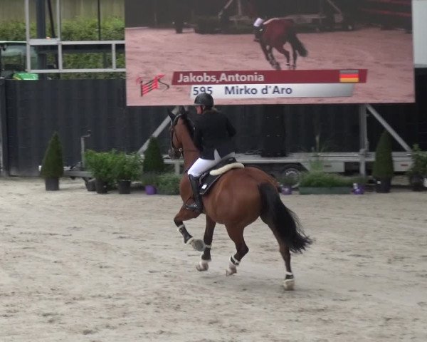 Reitturnier Aachen 2020