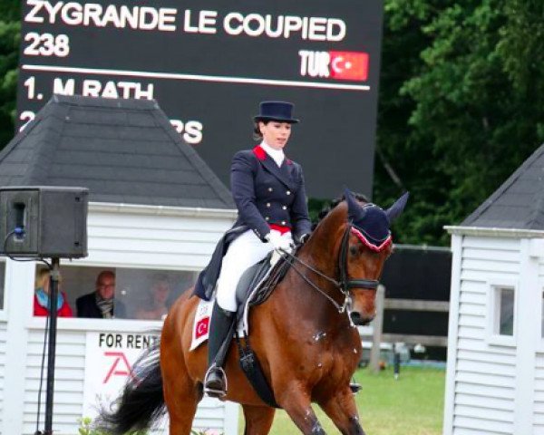 Dressurpferd Zygrande Le Coupied (KWPN (Niederländisches Warmblut), 2004, von Krack C)