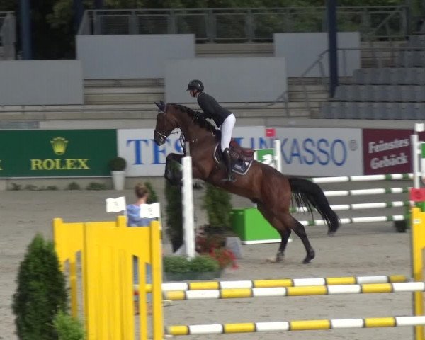 Reitturnier Aachen 2020