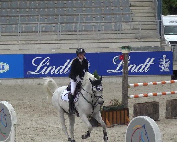 Reitturnier Aachen 2020