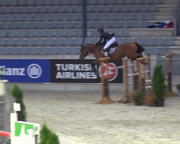 Reitturnier Aachen 2020