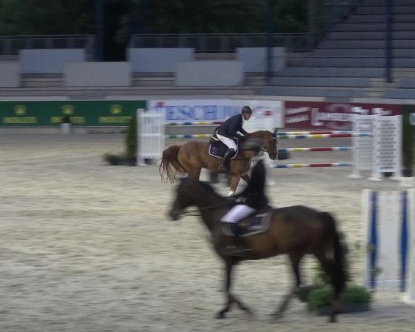 Reitturnier Aachen 2020