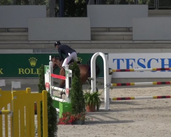 Reitturnier Aachen 2020