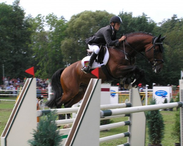 horse Volonter T (Czech Warmblood, 1997, from Voltaire) horse Volonter T (Czech Warmblood, 1997, from Voltaire)