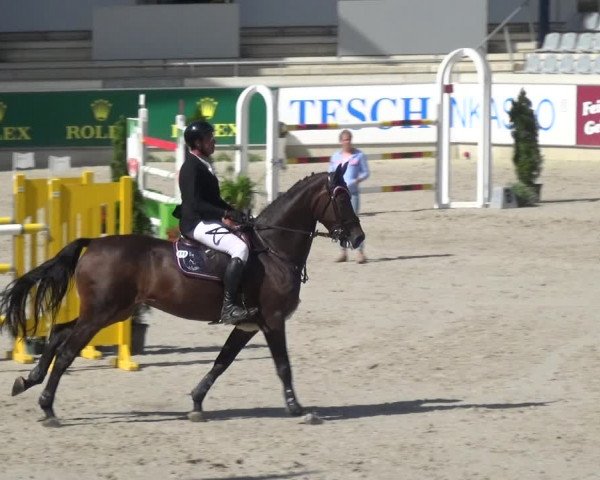 Reitturnier Aachen 2020