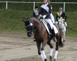 Dressurpferd Big Odonkor (Deutsches Reitpony, 2009, von Offshore Energy R)