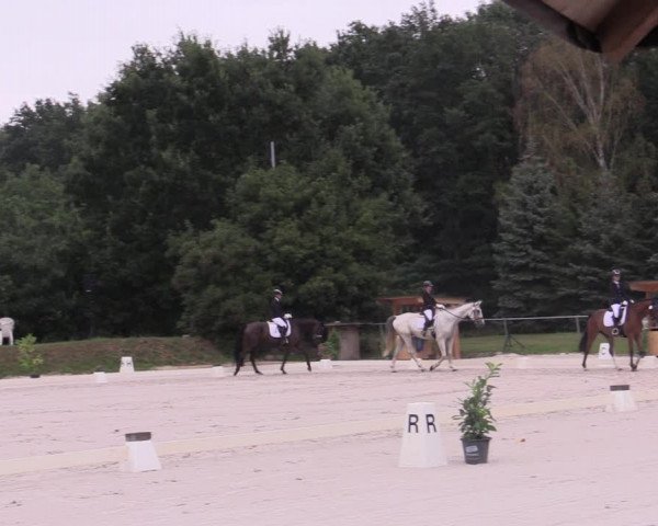 Reitturnier Pietzpuhl 2020