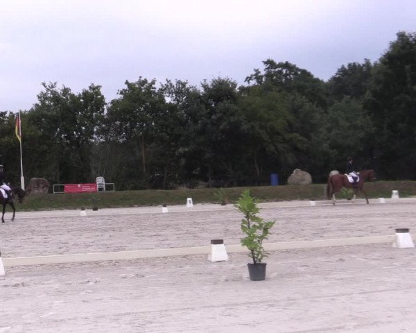 Reitturnier Pietzpuhl 2020