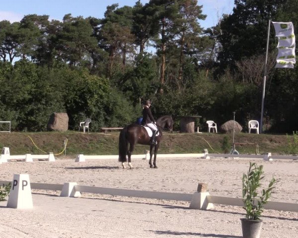 Reitturnier Pietzpuhl 2020