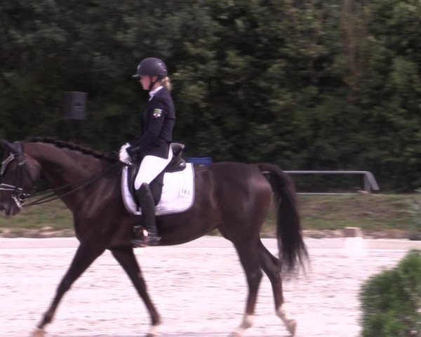 Reitturnier Pietzpuhl 2020