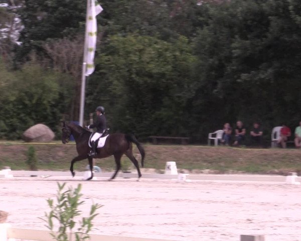 Reitturnier Pietzpuhl 2020