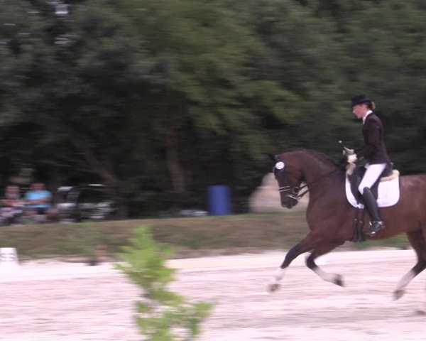 Reitturnier Pietzpuhl 2020