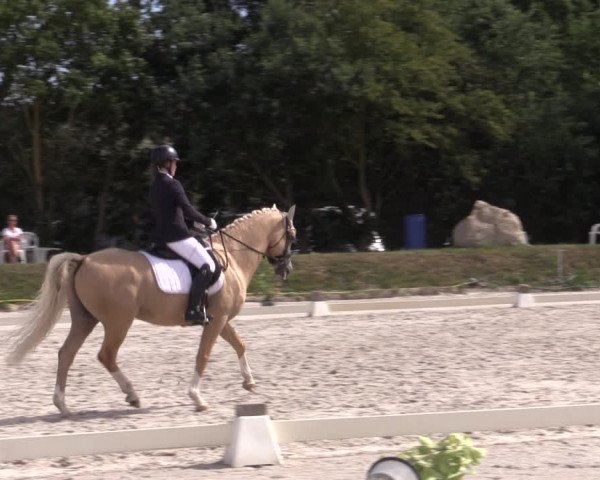 Reitturnier Pietzpuhl 2020