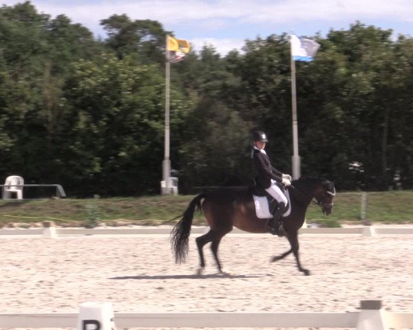 Reitturnier Pietzpuhl 2020