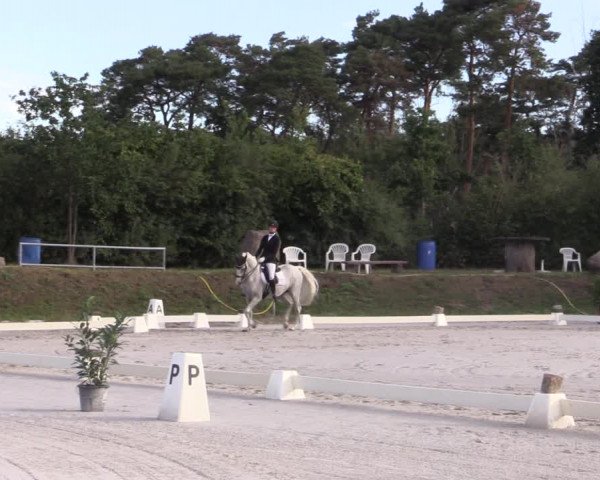 Reitturnier Pietzpuhl 2020
