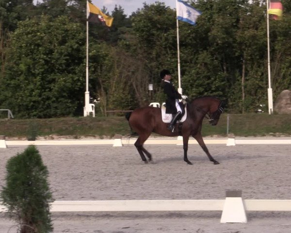 Reitturnier Pietzpuhl 2020