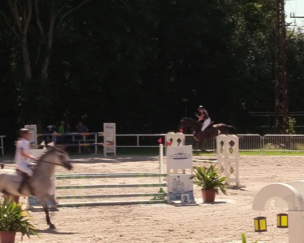 Reitturnier Prussendorf 2020