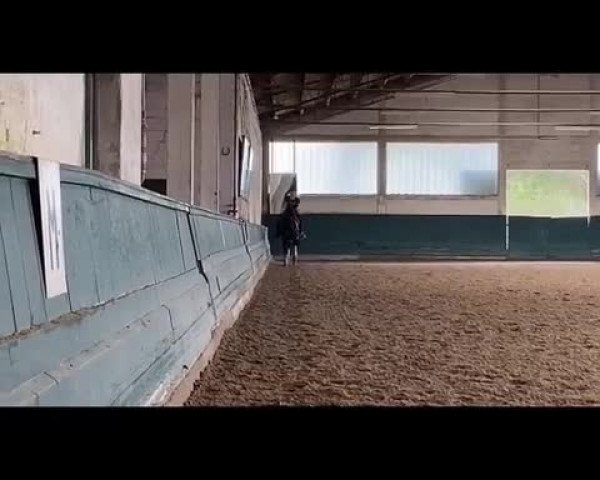Video of St. Maurice