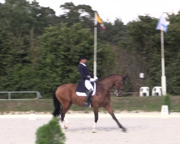 Reitturnier Pietzpuhl 2020