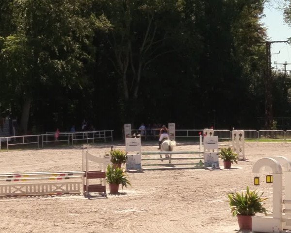 Reitturnier Prussendorf 2020