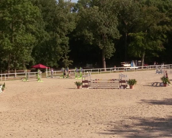 Reitturnier Prussendorf 2020