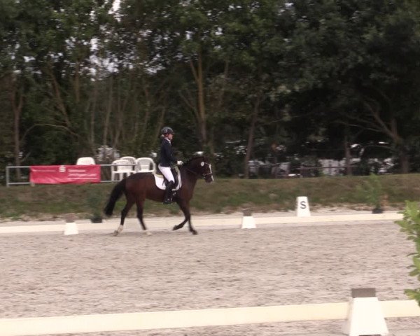 Reitturnier Pietzpuhl 2020