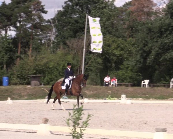 Reitturnier Pietzpuhl 2020