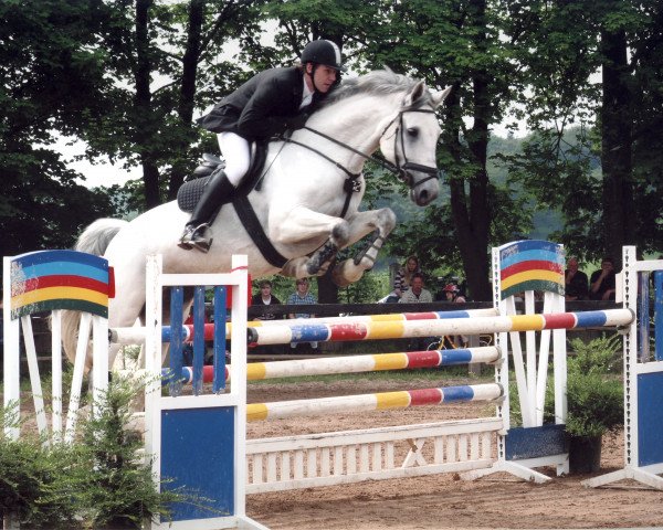 broodmare Carina 241 (Holsteiner, 1995, from Coronado I)