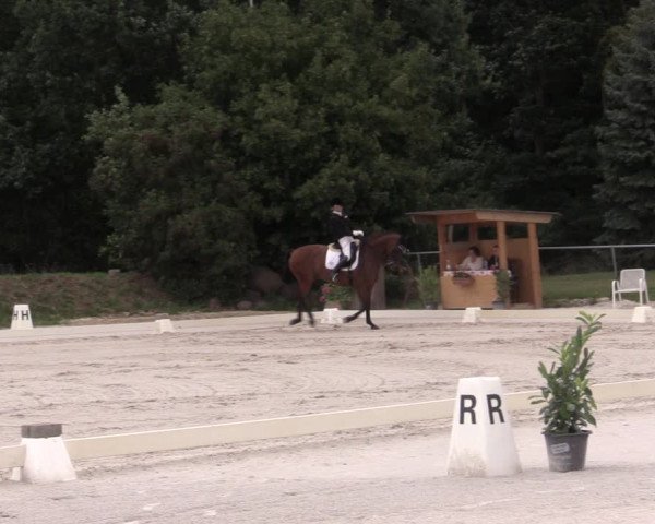 Reitturnier Pietzpuhl 2020