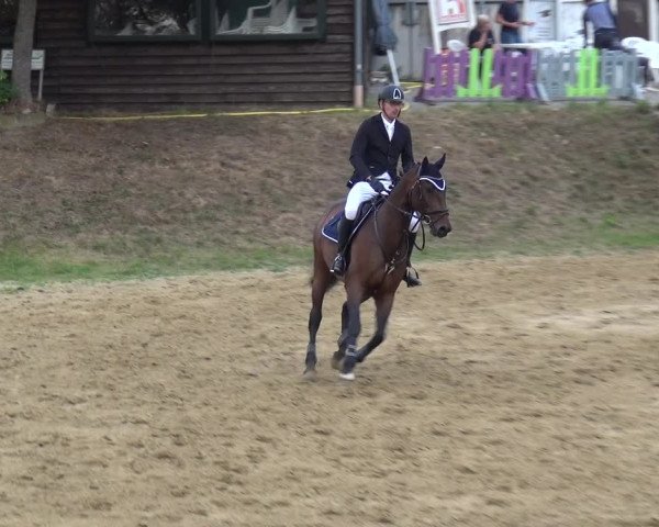 Reitturnier Viersen-Dülken 2020