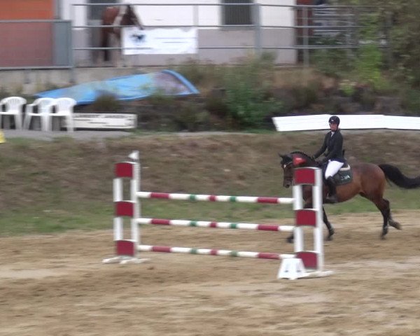 Reitturnier Viersen-Dülken 2020