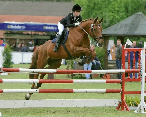 Springpferd Chaos 6 (Zweibrücker, 2005, von Calmar)