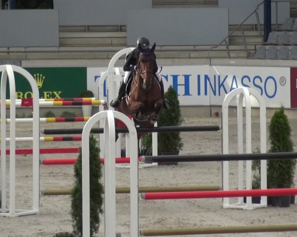 Reitturnier Aachen 2020