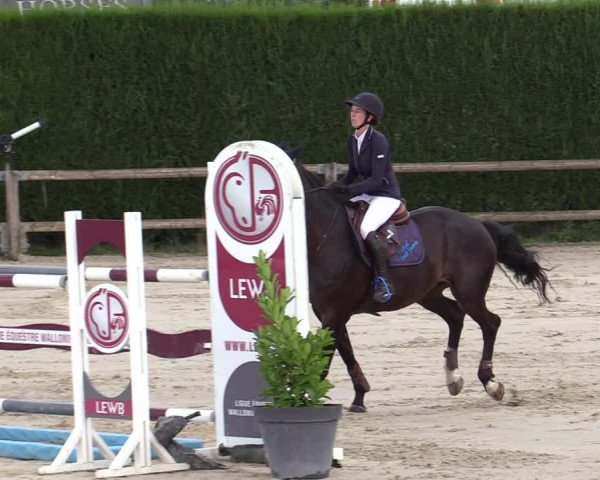 STX Cycle 2.0 Basècles 2020