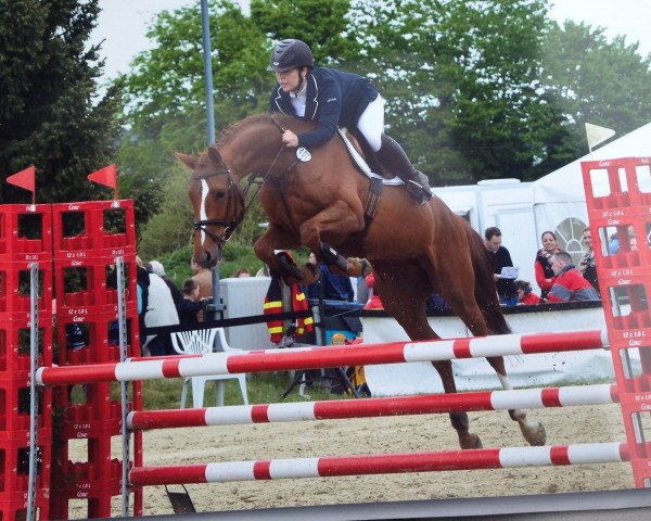 Springpferd Jasira 3 (Oldenburger, 2010, von Junior Mariner)