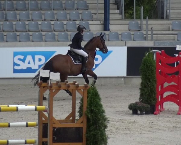 Reitturnier Aachen 2020