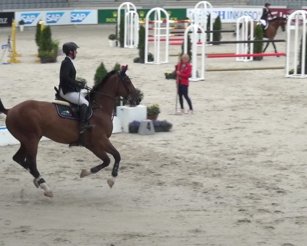 Reitturnier Aachen 2020