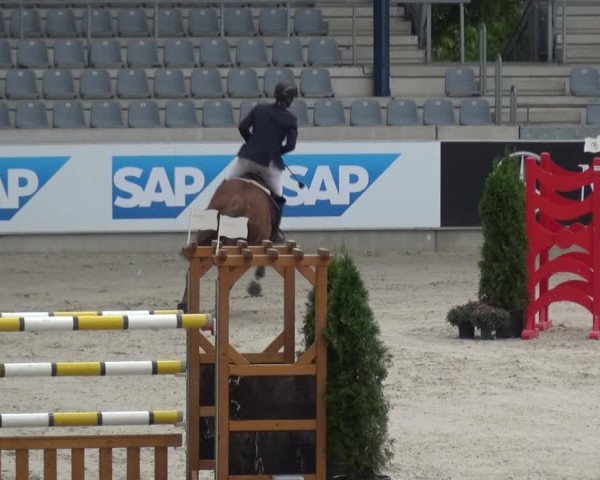 Reitturnier Aachen 2020