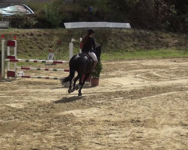 Reitturnier Viersen-Dülken 2020