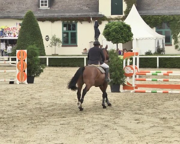 Reitturnier St.Wendel, Gestüt Welvert 2020
