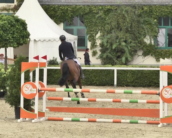 Reitturnier St.Wendel, Gestüt Welvert 2020