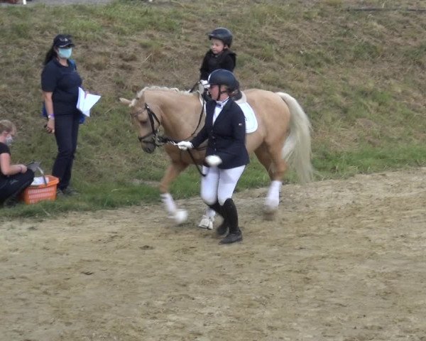 Reitturnier Viersen-Dülken 2020