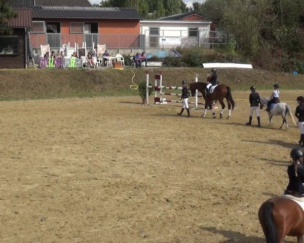 Reitturnier Viersen-Dülken 2020