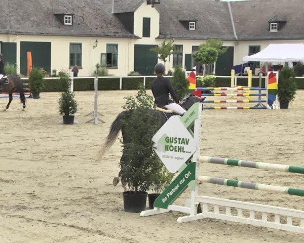 Reitturnier St.Wendel, Gestüt Welvert 2020